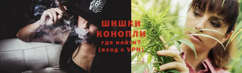 Шишки марихуана SATIVA & INDICA  где продают   Краснознаменск 